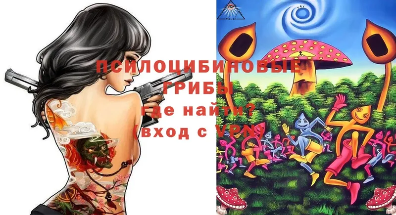 Псилоцибиновые грибы Magic Shrooms  Мензелинск 